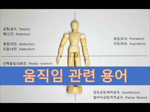 움직임 관련 용어