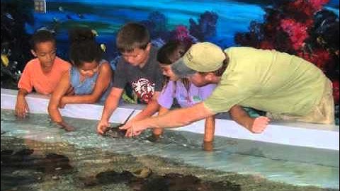 Kizoa Video Editor - Movie Maker: Give Day 2016 - Science Center