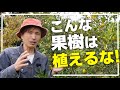 【これは植えるな】果樹２０種類のオススメ度合いをマニアが詳しく解説