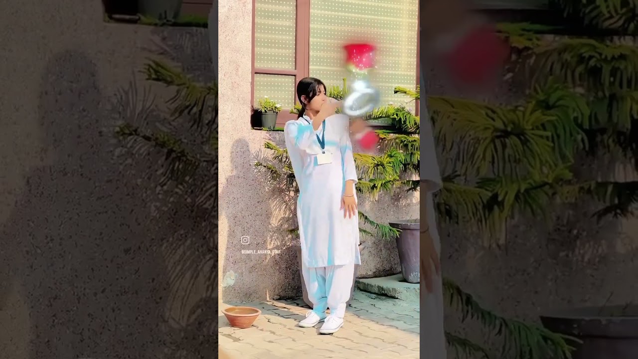 What is HAPPY Rose Day? 