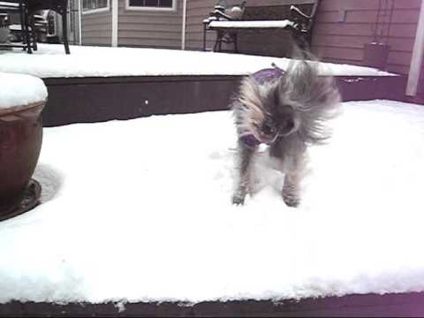 Enjoying the Snow!