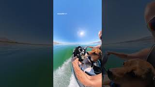 Another viewpoint #lakehavasu #mansbestfriend #travel #Arizona #jetski