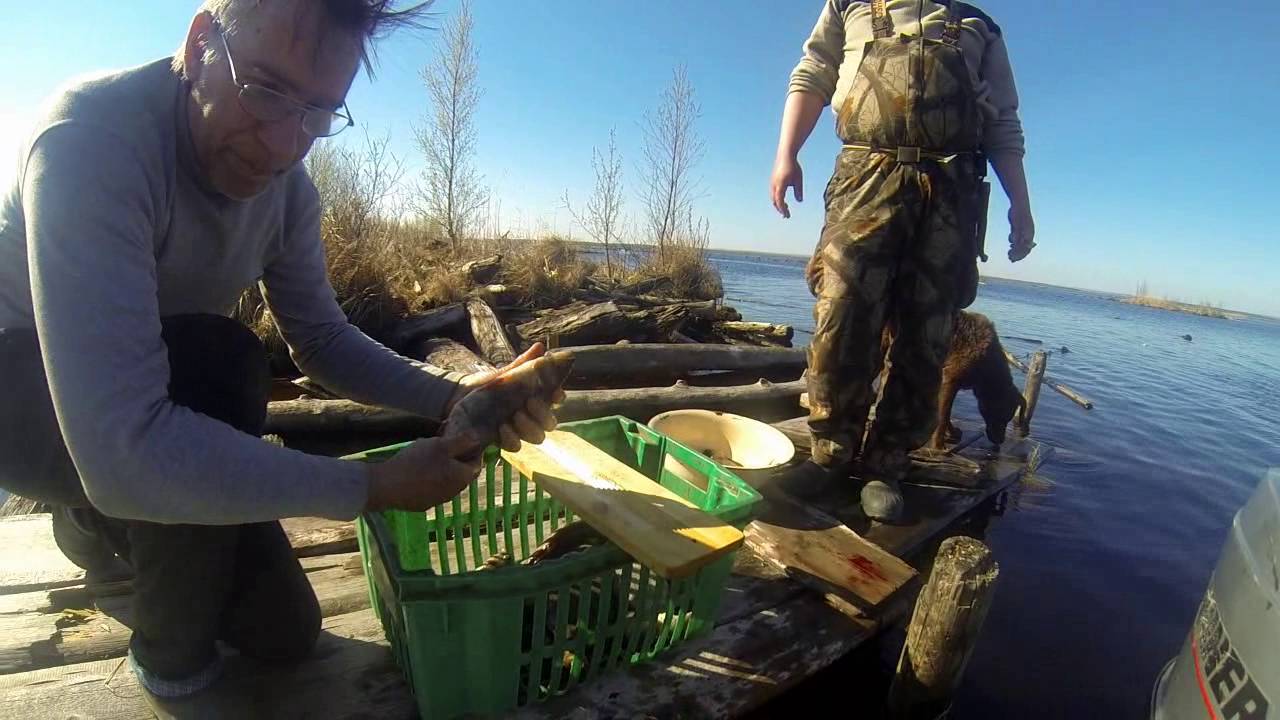 Рыбочистка - YouTube
