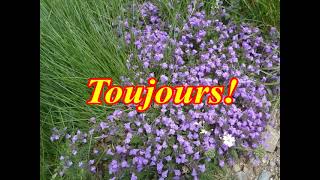 Dieu De Toute Grâce