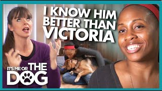 Dog Owner Plays Aggressively with Dog and Refuses Help! | It's Me or the Dog