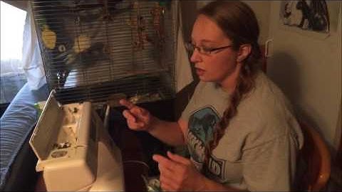 How to Make a Basic Tabard