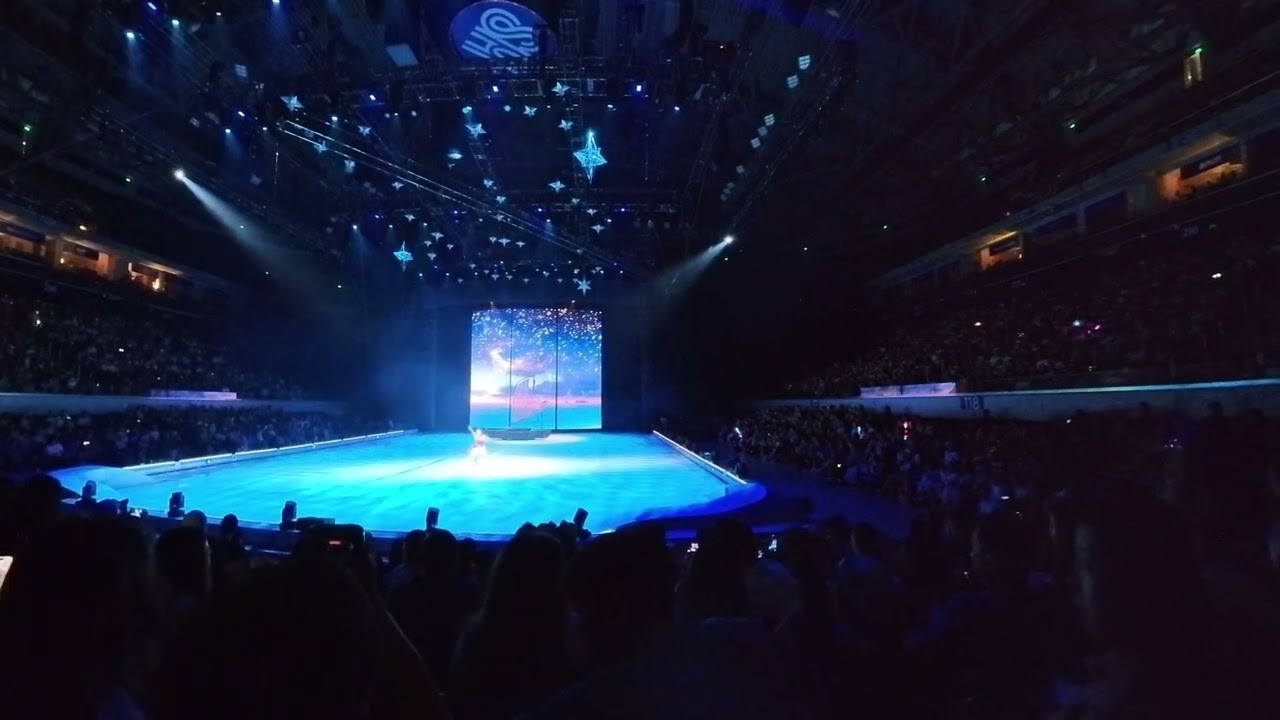 ThisKnee (Disney On Ice)