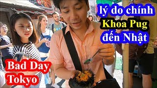 Bất ngờ bò Wagyu vỉa hè ở Nhật siêu rẻ - Khoa Pug càn quét chợ hải sản Tokyo - Tsukiji fish market Bất ngờ bò Wagyu vỉa hè ở Nhật siêu rẻ - Khoa Pug càn quét chợ hải sản Tokyo - Tsukiji fish market