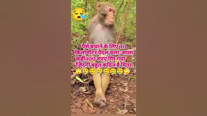 Funny yt shorts😅‼️💓#ytshorts #shorts #shortvideo #reels #reelsinstagram #funnyshorts #yt