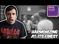 SO MANY HARMONIES - 5SOS - Making Of Killer Queen Reaction