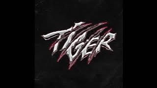 더보이즈 (The Boyz) - Tiger (Instrumental)
