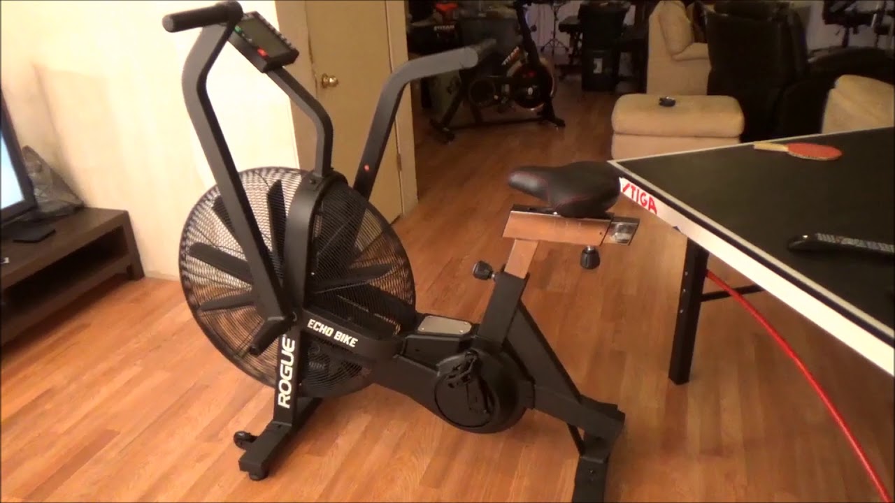 rogue fitness airdyne bike