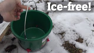 Ice-free chicken nipple waterer | Winter Chicken Care | DIY