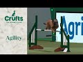 Agility   championship  large part 1 agility  crufts 2024
