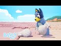 ザ・ビーチ 🏖️ | レゴ・ブルーイ:ショート💙 | ブルーイ - 日本公式チャンネル