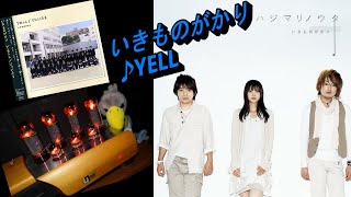 【いきものがかり】YELL♪ 歌詞付  アルバム『ハジマリノウタ』高音質   真空管アンプで聴く♪エール 合唱卒業B&W705Signature × Unison Research 空気録音 CD音源