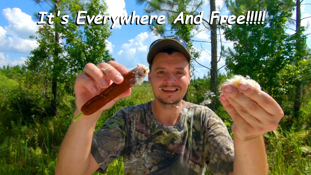 What Is Your Wind Indicator?