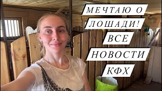 Дел на ферме хватит всем! Ждём новых нетелей!