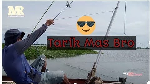 IKAN NILA NYA LOMPAT_ ALAT TANGKAP IKAN DI PESISIRAN DANAU TEMPE_ #MuhammadRiswan