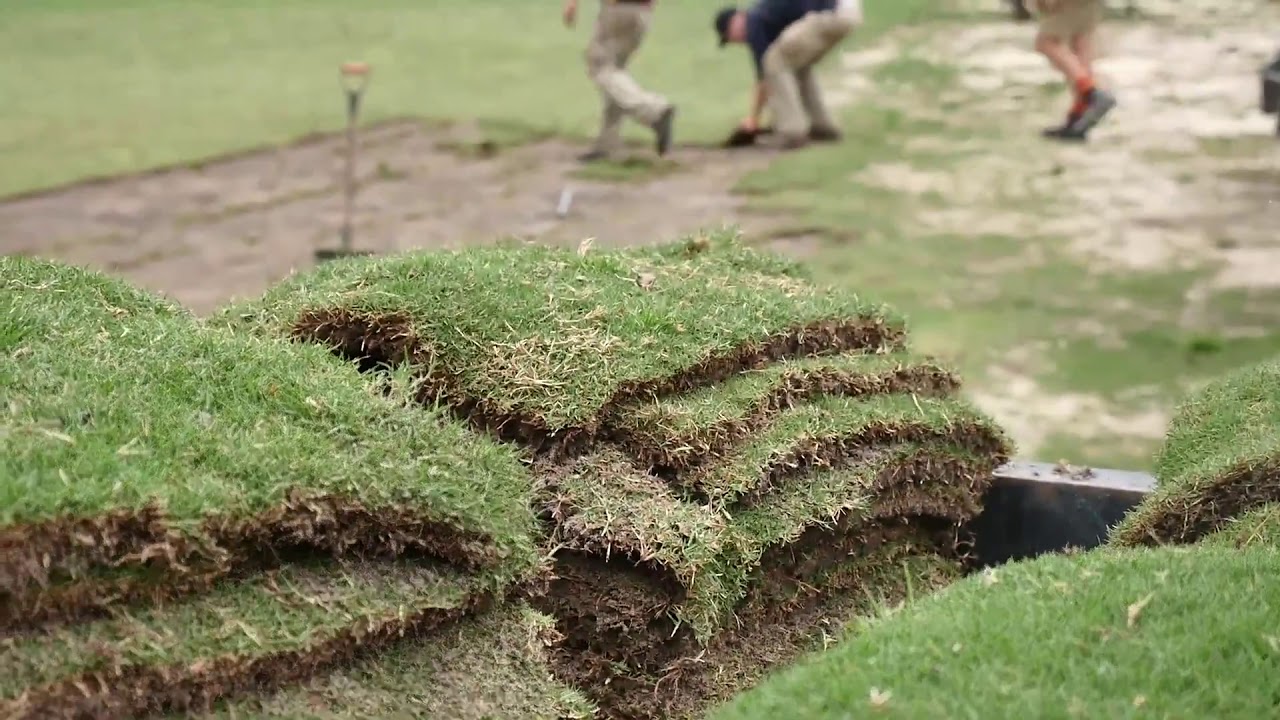 Turf Cutter For Hire Warragul Drouin PH 0356 235005