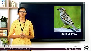 Grade 4 English Chapter 6 Class 1 The Parrot who wouldn