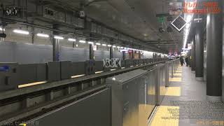 【鉄道/入線・到着シーン】JR東日本 E233系7000番台 147Mレ 特急 海老名【セレガーラ提督】