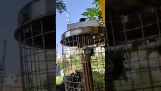 electric heater for poultry farms Koli farm heaters call 9600530005