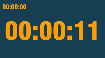 11 second timer (with end alarm, time elapsed and progress bar)