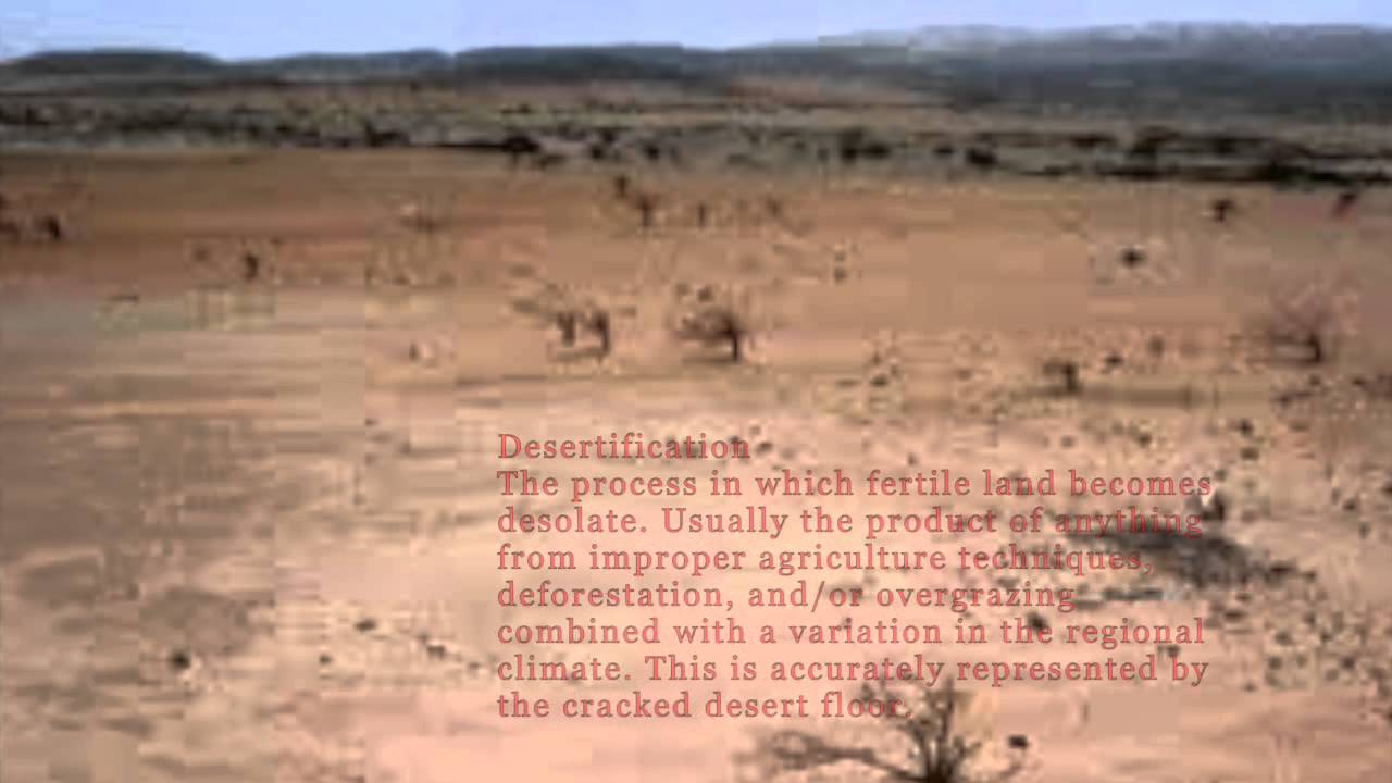 what is the desertification of the sahara quizlet