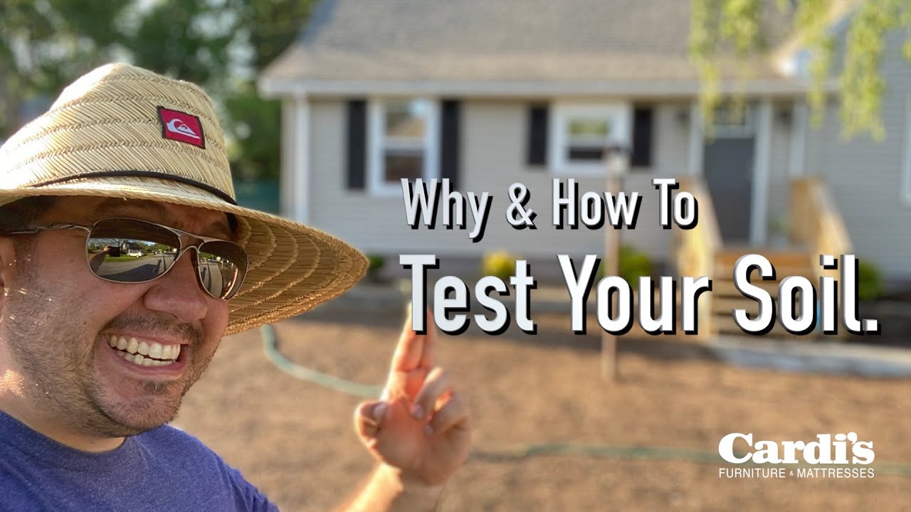 Should I test my soil?