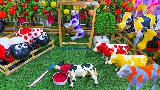 WADIDAU ‼️PROSES POTONG SAPI QURBAN