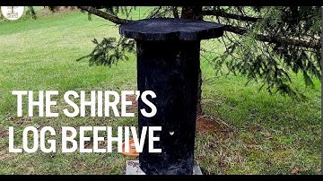 Log Beehives Washington State & The Bee Swarm