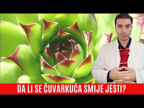 Video: Može Li Dvogodišnje Dijete Jesti Juhu Od Kiselice