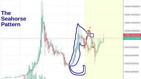 The Seahorse Pattern - Bitcoin
