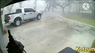 Trees falling compilation #4