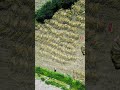 Women Farmers