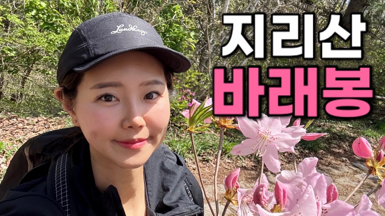 [Hiking] 전북 남원 지리산 바래봉 | 혼자 떠난 당일치기 지리산 철쭉 여행 🌸🌸🌸