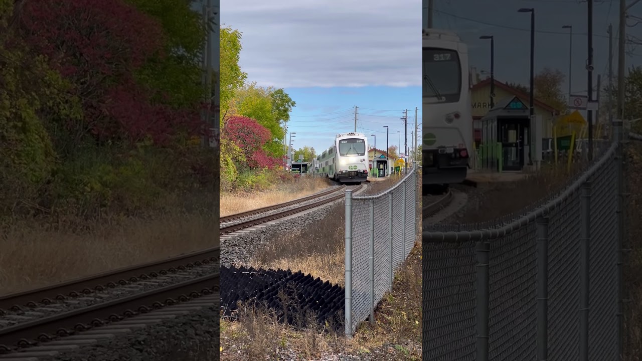 Go 317 on the Markham curve