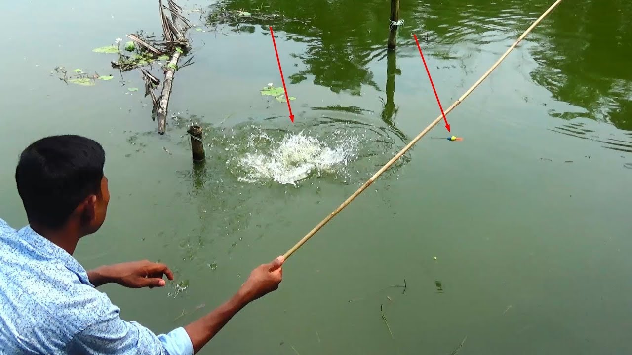 Best Fishing Video (Part47) YouTube