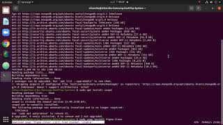 Install figma-linuxon Ubuntu | 2Sourcefort
