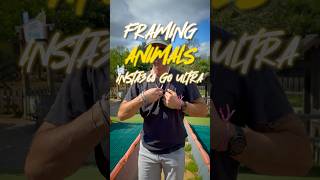 The EASIEST Way to Film Animals Up Close | Insta360 GO Ultra
Capture heartwarming animal interactions the EASIEST way with Insta360 GO Ultra πΎ
Wear it on your chest with Piviot Stand and experience every playful tail wag, curious sniff, and adorable moment from a first-person POV. Perfect for pet lovers and animal enthusiasts!
#Insta360 #Insta360GOUltra #POV #Pet
Follow @Insta360 on:
- YouTube: https://www.youtube.com/insta360/?sub...
- Instagram: https://www.instagram.com/insta360/
- TikTok: https://www.tiktok.com/@insta360_offi...
- Facebook: https://www.facebook.com/Insta360
- Twitter: https://twitter.com/insta360
- LinkedIn: https://www.linkedin.com/company/inst... The EASIEST Way to Film Animals Up Close | Insta360 GO Ultra