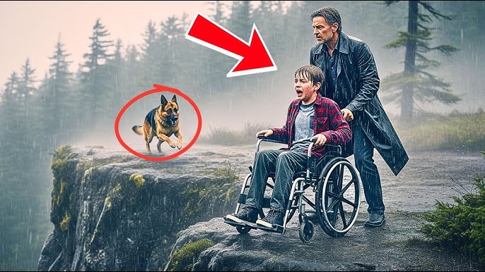 Cruel Uncle Pushed Boy Off Cliff — What The German Shepherd Did Next  Shocked Everyone - YouTube