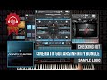 Checking Out: Cinematic Guitars Infinity by Sample Logic (currently 80% OFF)