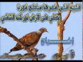 الليلة اللي قمرها ساطع نورة