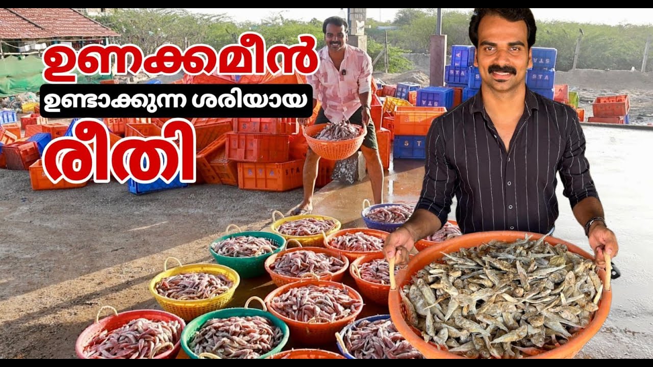 how is dried fish prepared| dried fish complete processing explained