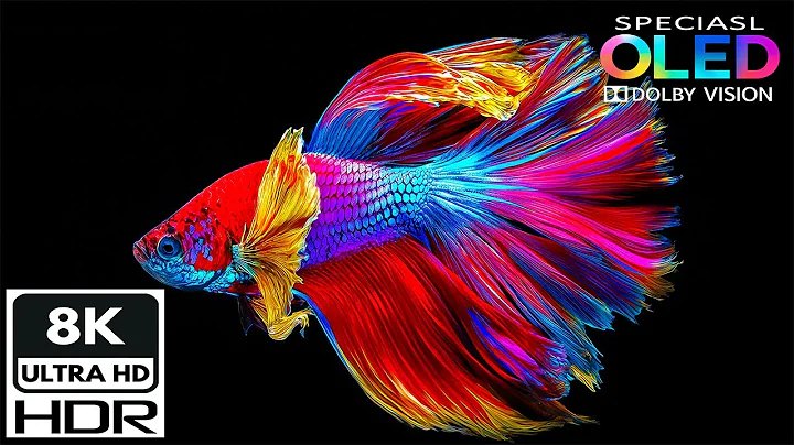 Amazing Underwater in 8K Videos | Dolby Vision HDR 8K 120FPS