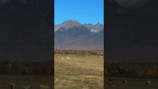 Успел поймать теплые дня в Восточных Саянах. Сейчас уже всё под снегом❄️