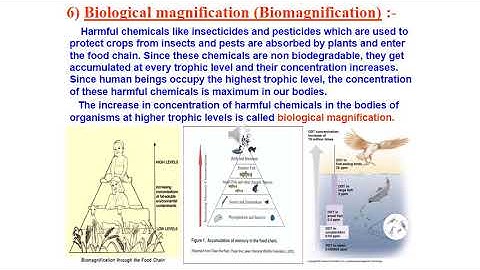 Our Environment part 3