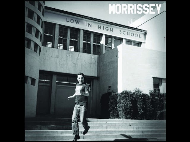 Who Will Protect Us From The Police? Vocals - Morrissey class=