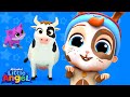 Animal Dance Song | Little Angel Kids Songs & Nursery Rhymes